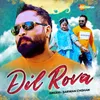 About Dil Rova Song